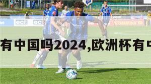 欧洲杯有中国吗2024,欧洲杯有中国吗?